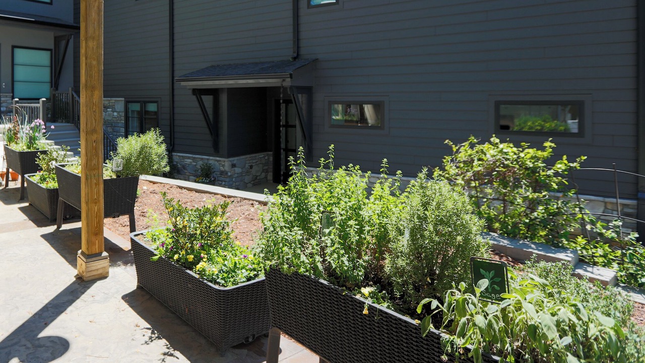Photo of Outdoor in Barium Springs