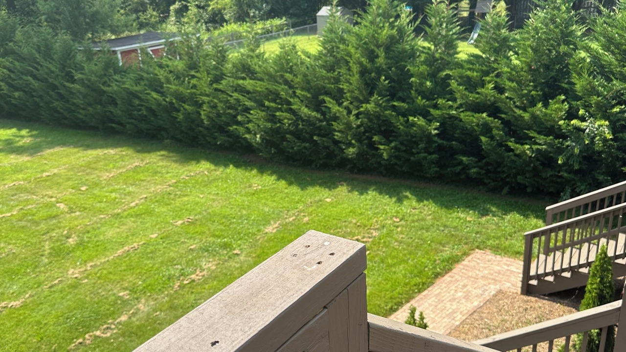 Photo of Outdoor in Hickory