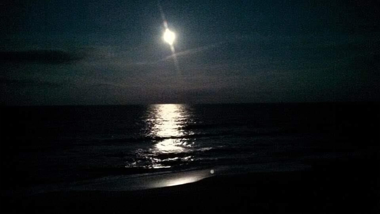 Photo of Patio Balcony in Kill Devil Hills