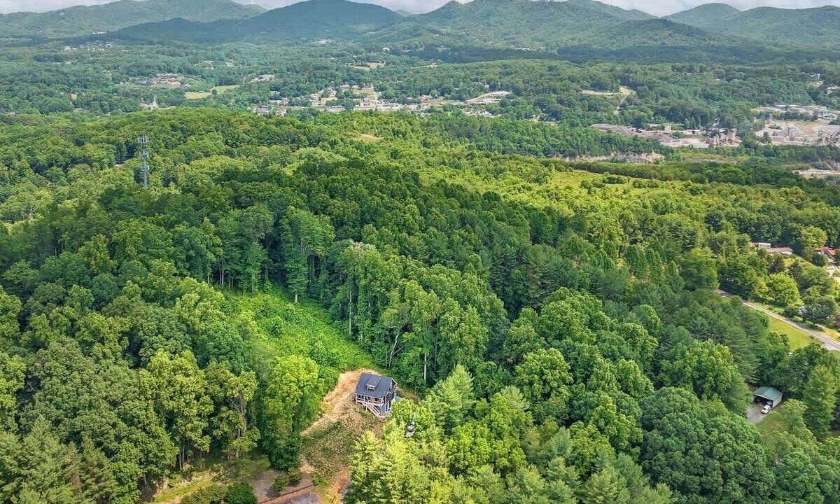 Photo of Others in Candler