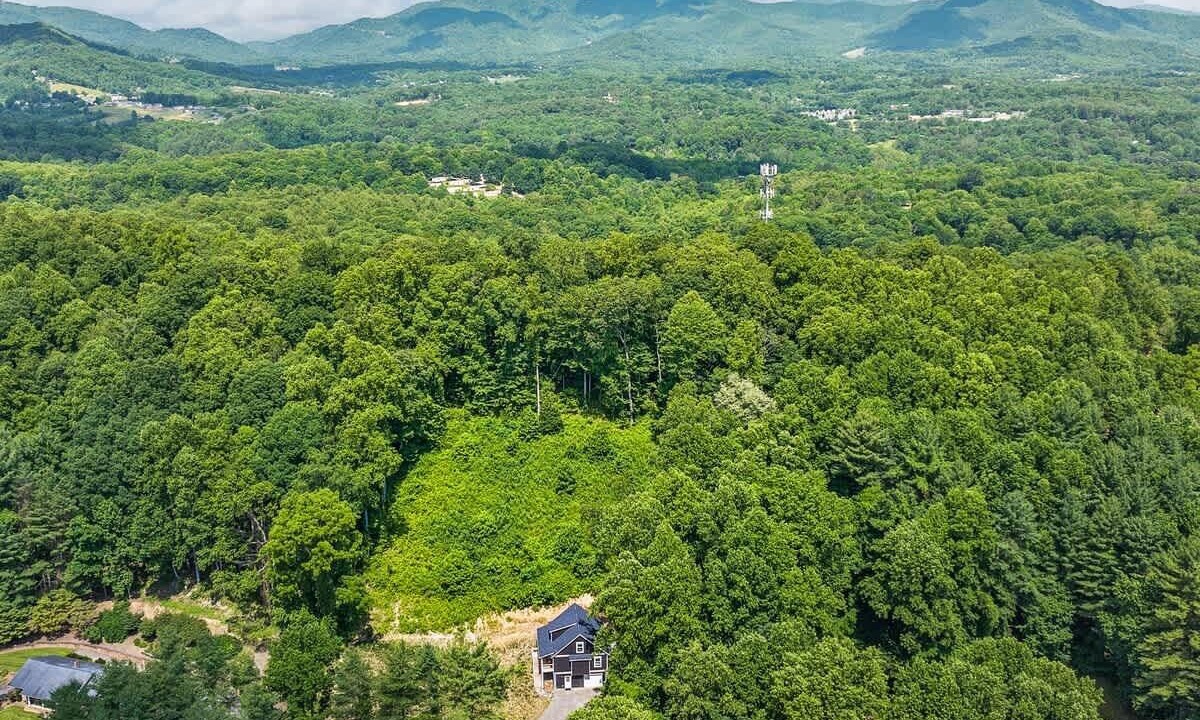 Photo of Outdoor in Candler