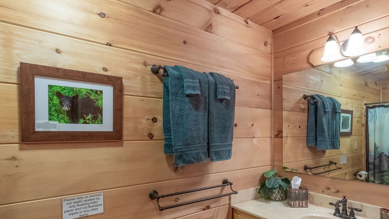 Photo of Bathroom in Maggie Valley