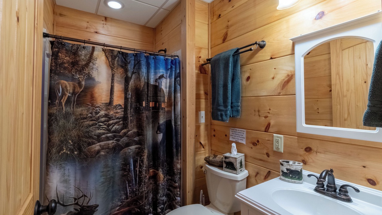 Photo of Bathroom in Maggie Valley