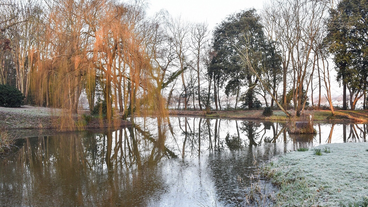 Photo of Outdoor in Pevensey