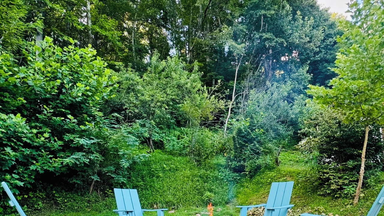Photo of Outdoor in Bakersville