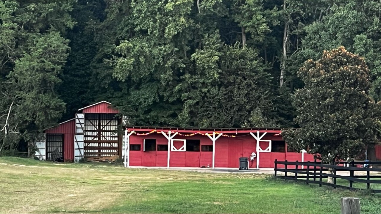 Photo of Outdoor in Marvin