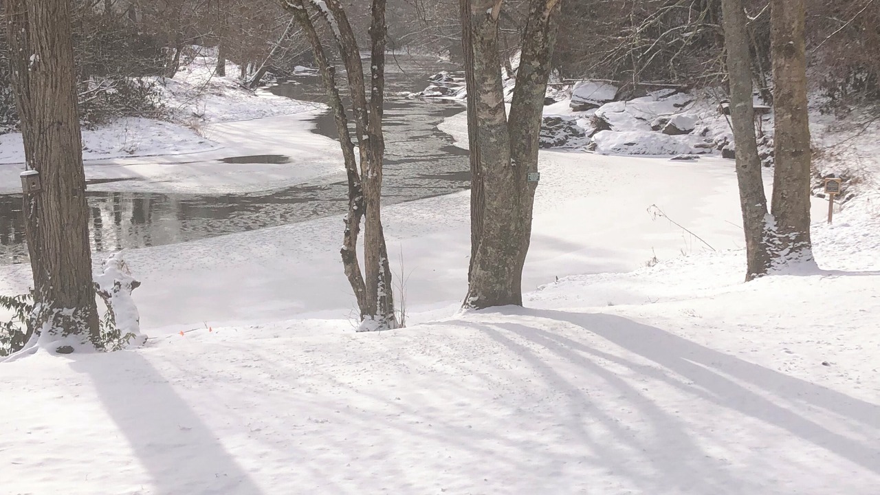 Photo of Others in Altamont