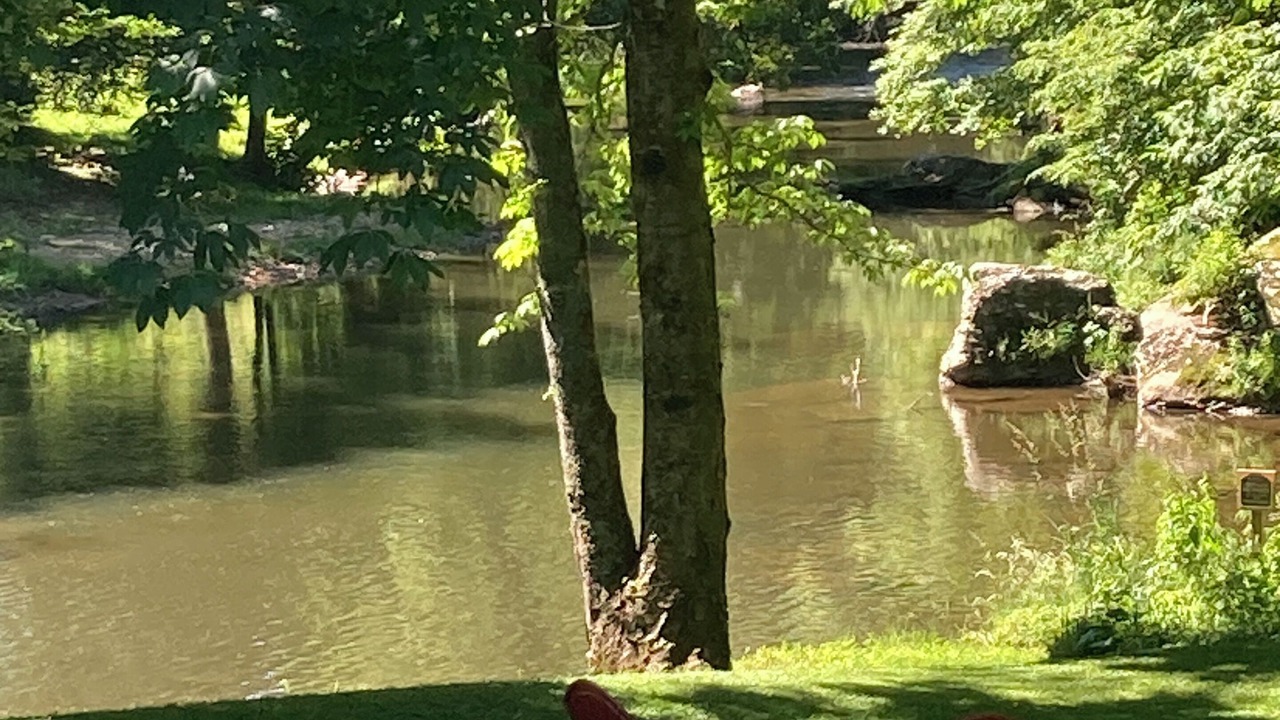 Photo of Outdoor in Altamont