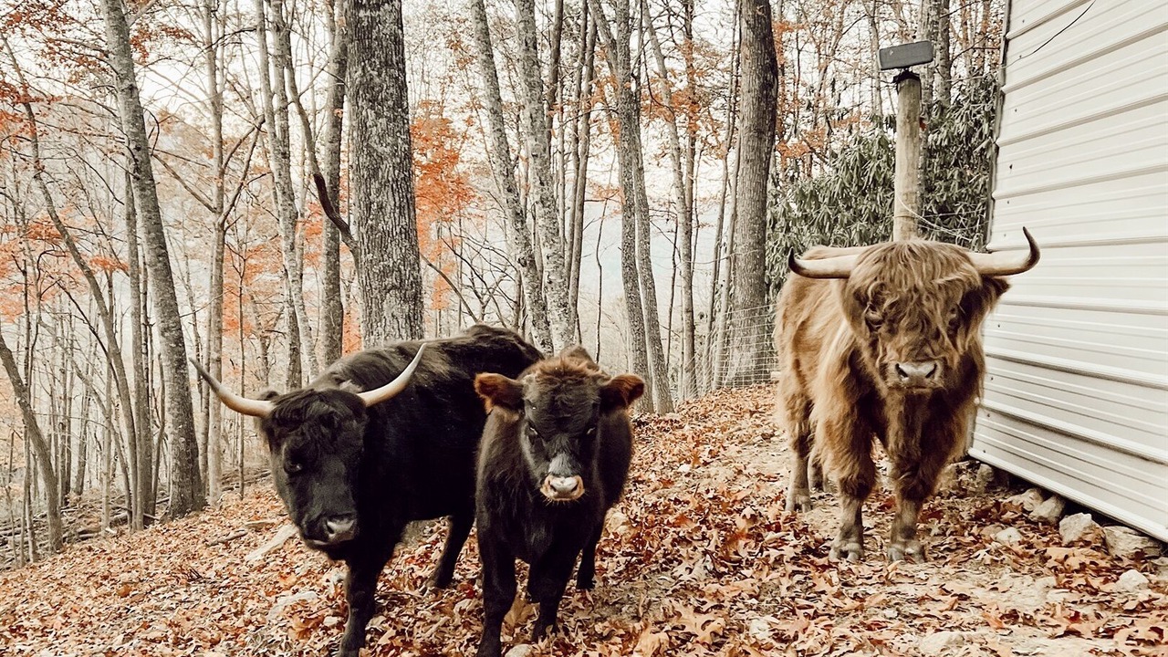 Photo of Others in Canton