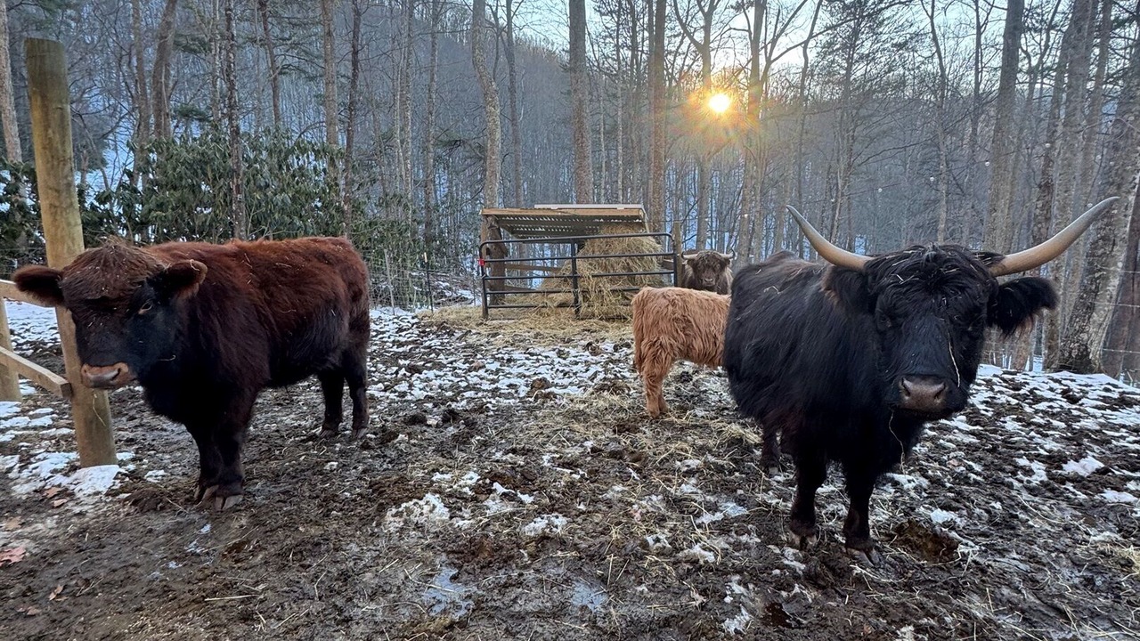 Photo of Others in Canton