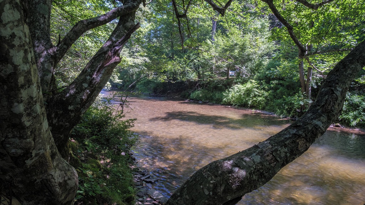 Photo of Others in Rosman