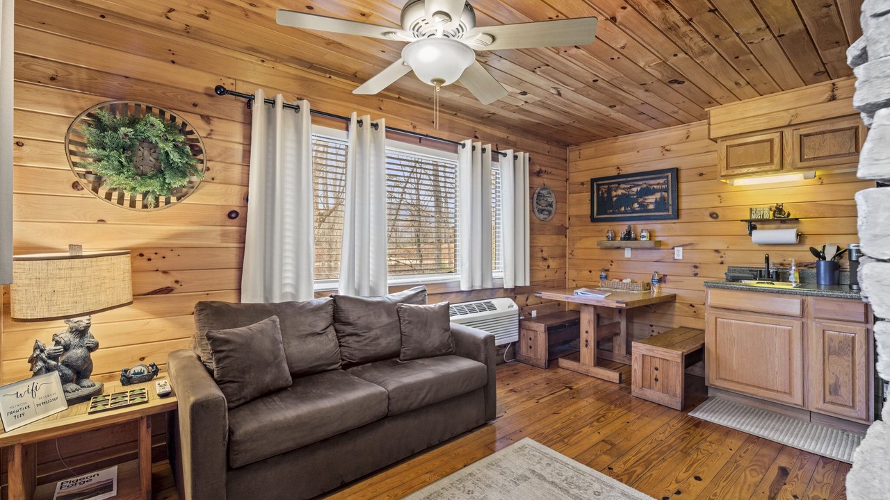 Photo of Livingroom in Bryson City