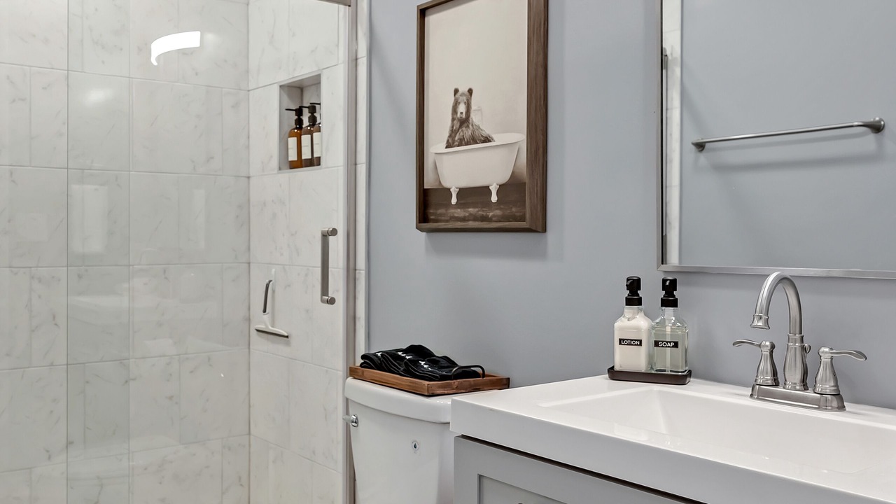 Photo of Bathroom in Apex