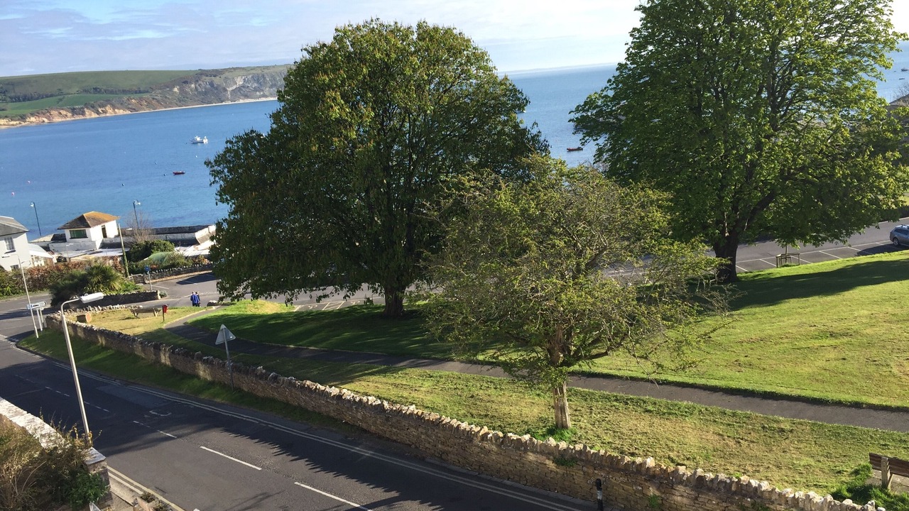 Photo of Others in Swanage