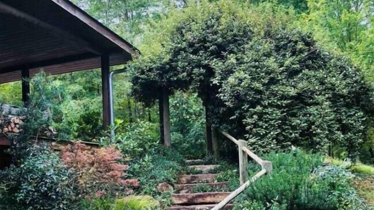 Photo of Outdoor in Tryon