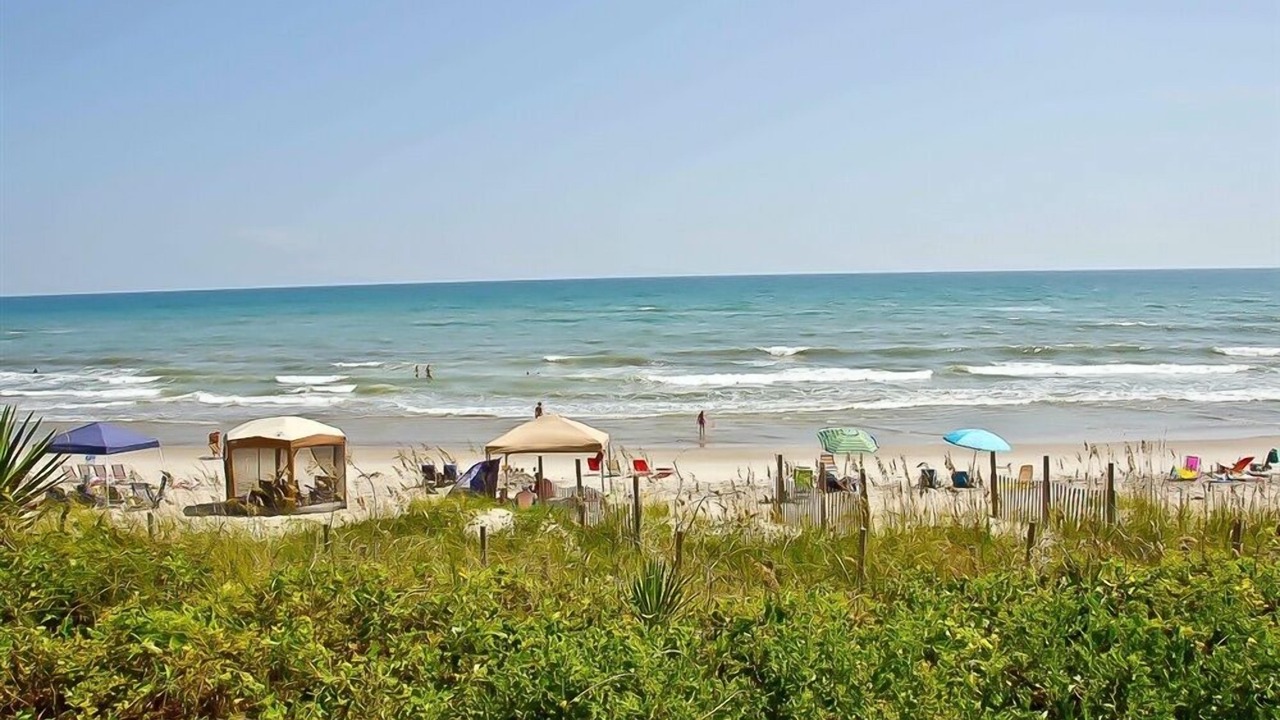 Photo of Others in Indian Beach