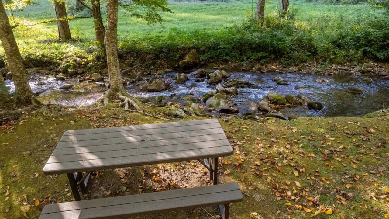 Photo of Outdoor in Sylva