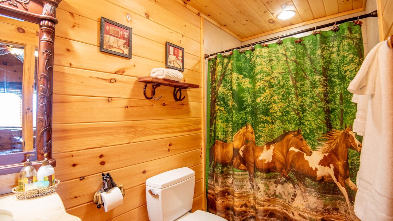 Photo of Bathroom in Grassy Creek