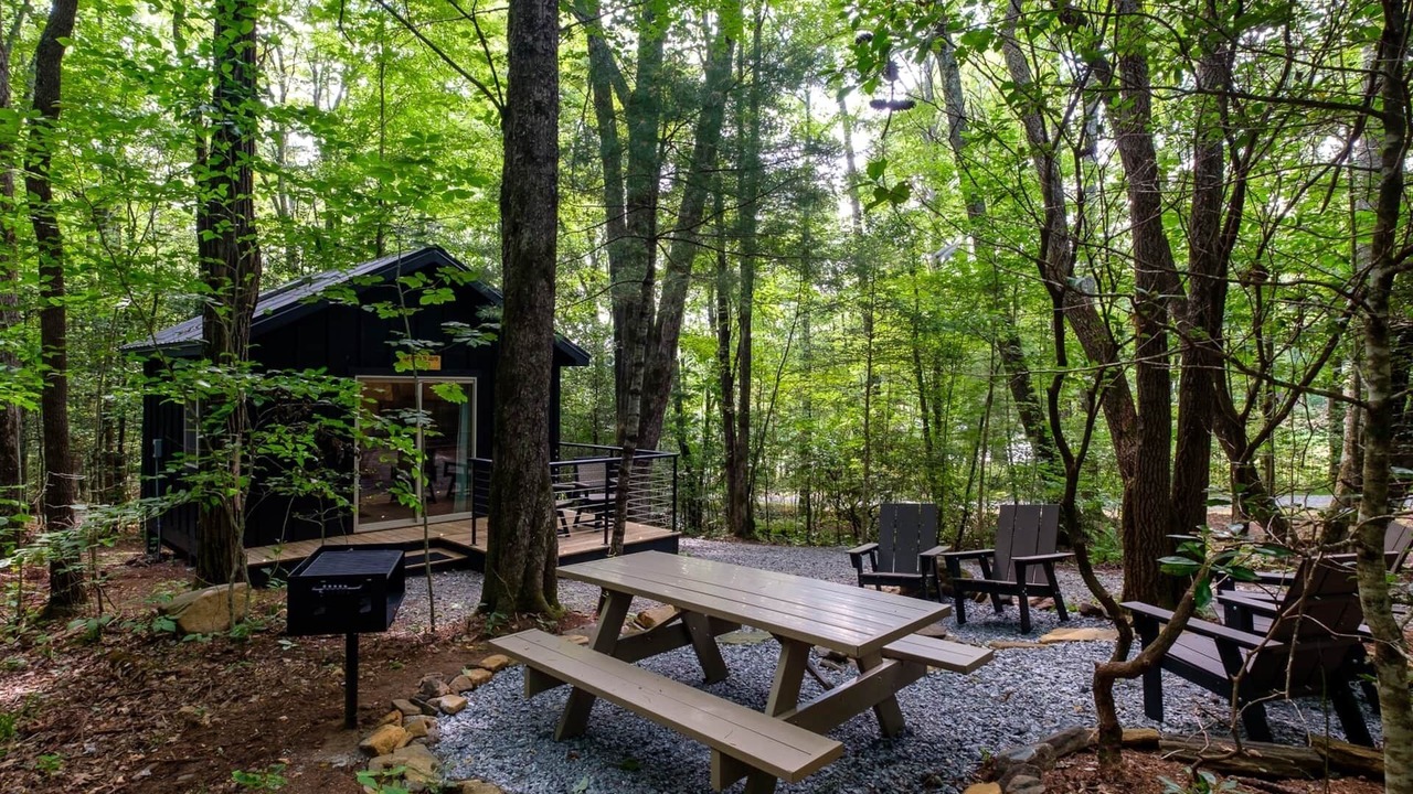 Photo of Others in Balsam Grove