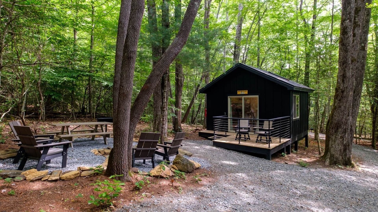 Photo of Others in Balsam Grove