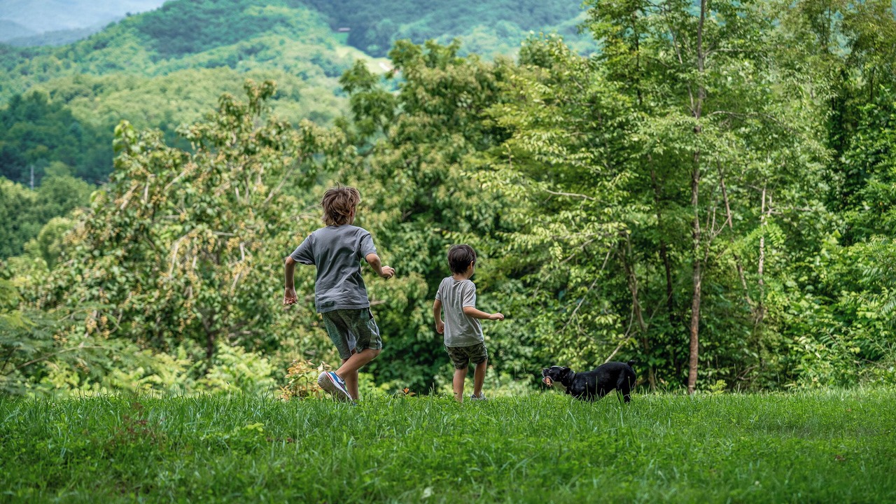 Photo of Others in Sylva