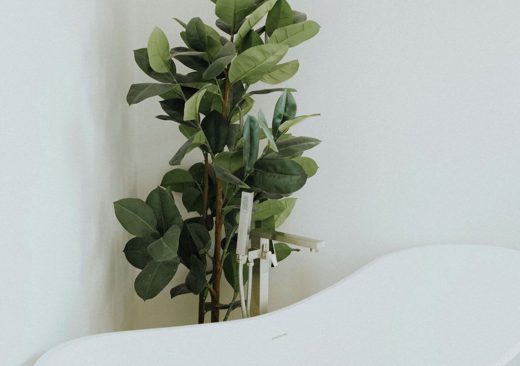 Photo of Bathroom in Shell Island