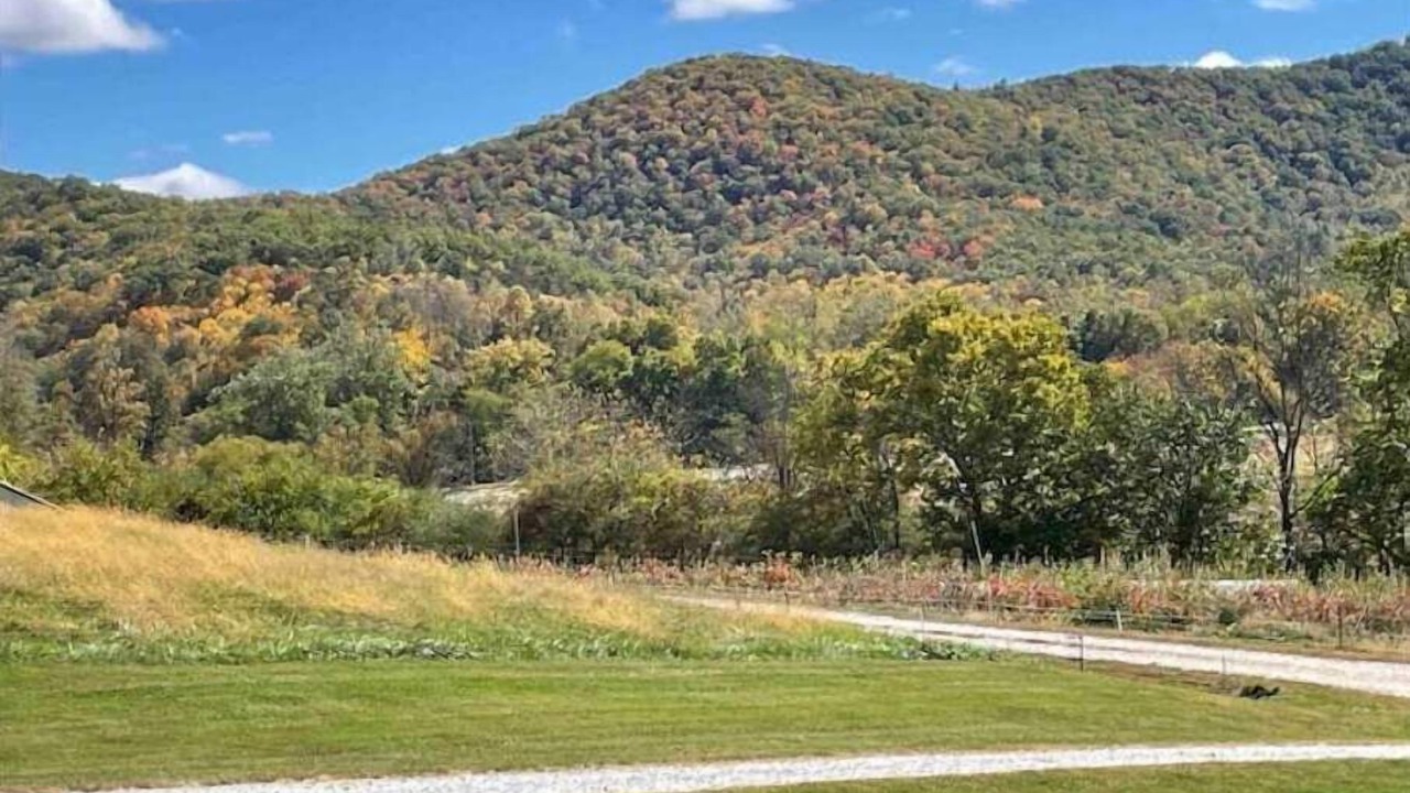 Photo of Others in Mills River