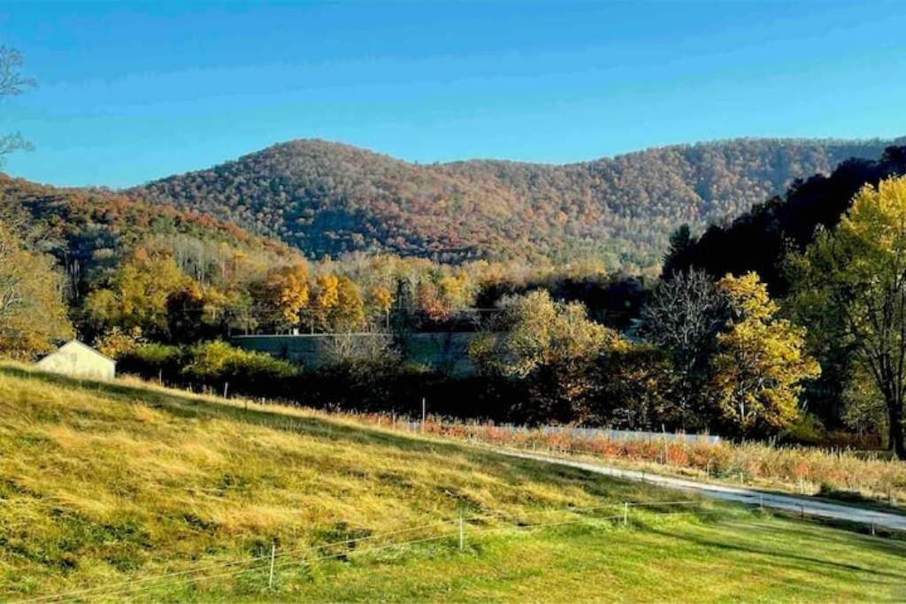 Photo of Others in Mills River