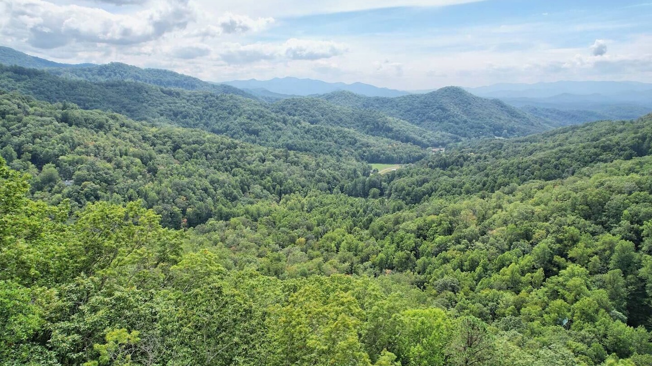 Photo of Others in Franklin