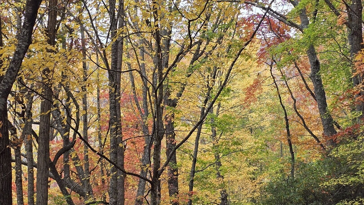 Photo of Others in Franklin