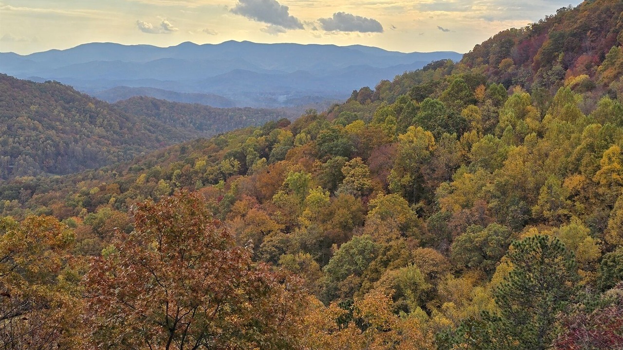 Photo of Others in Franklin
