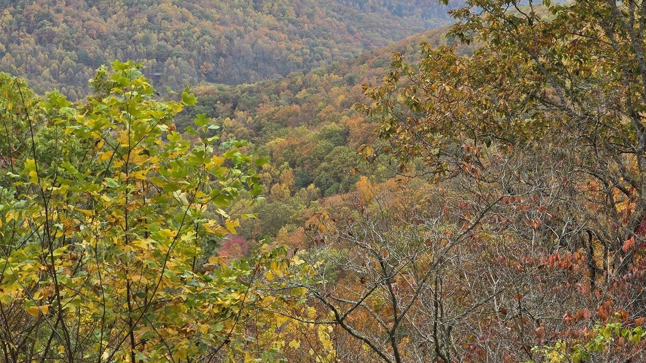 Photo of Others in Franklin