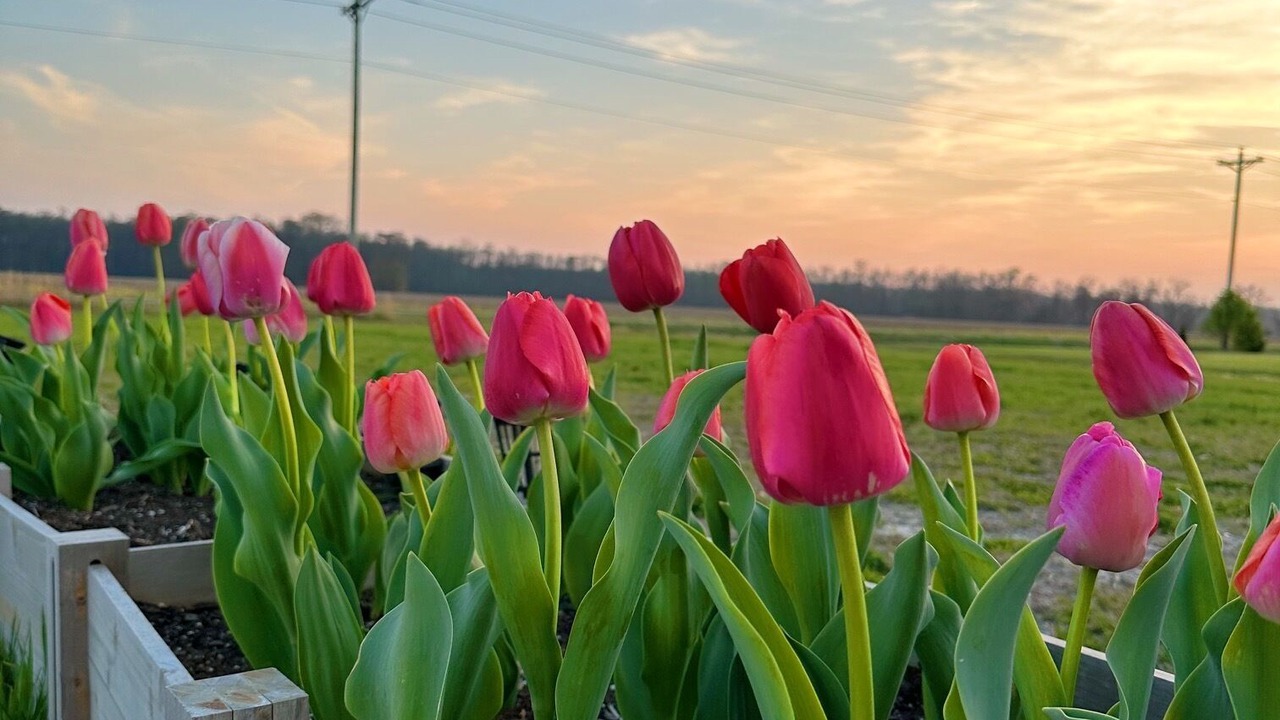 Photo of Outdoor in Elizabeth City