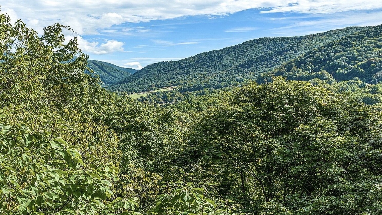 Photo of Others in Maggie Valley