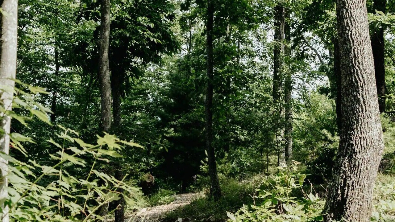 Photo of Outdoor in Bostic