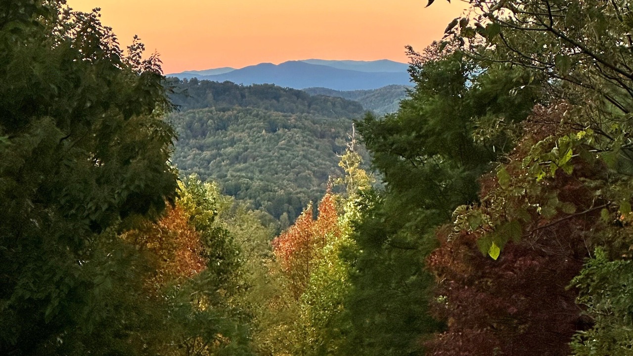 Photo of Others in Bostic