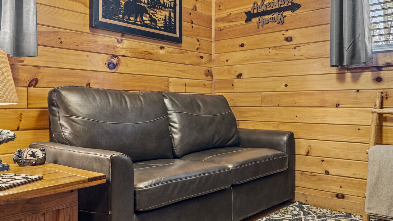 Photo of Livingroom in Bryson City