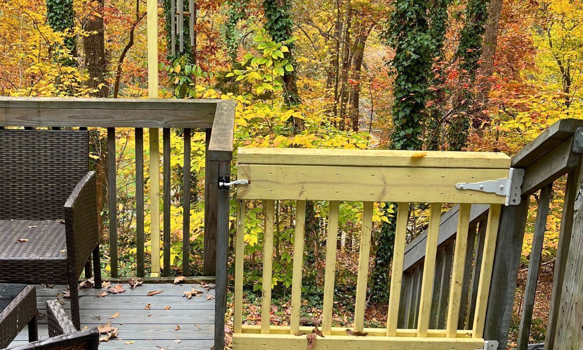 Photo of Outdoor in North Raleigh
