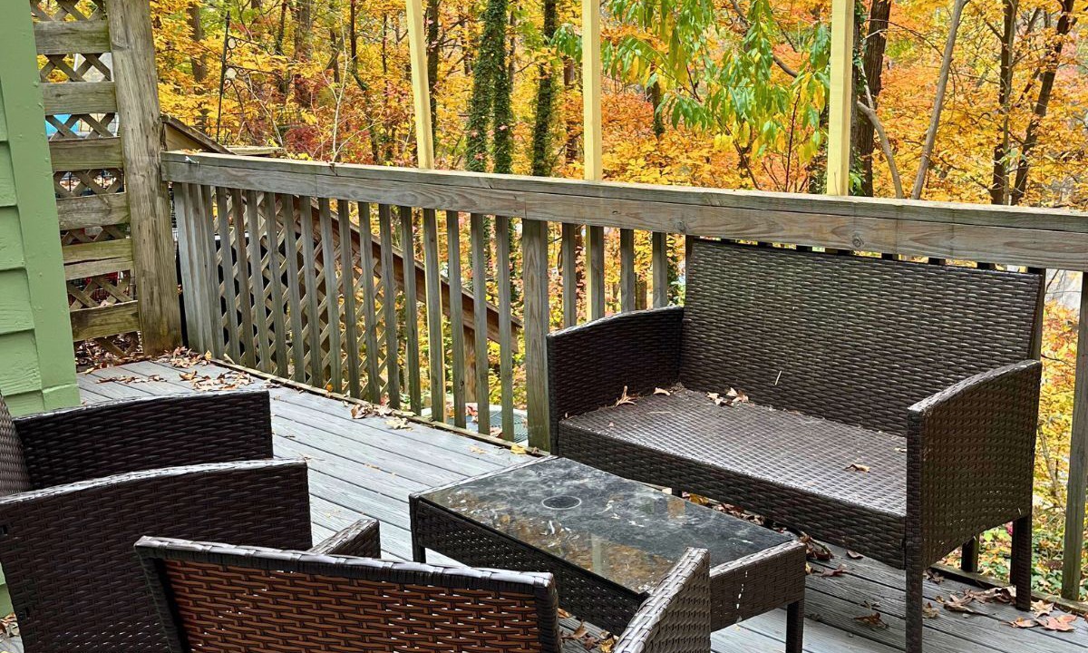 Photo of Outdoor in North Raleigh