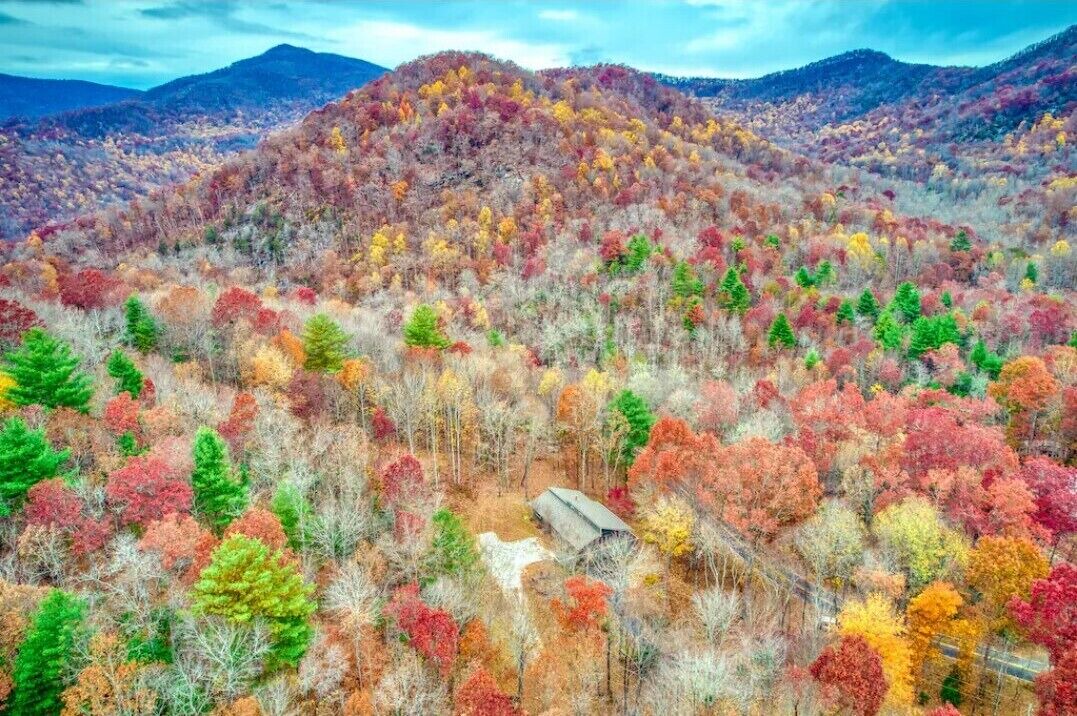 Photo of Outdoor in Otto