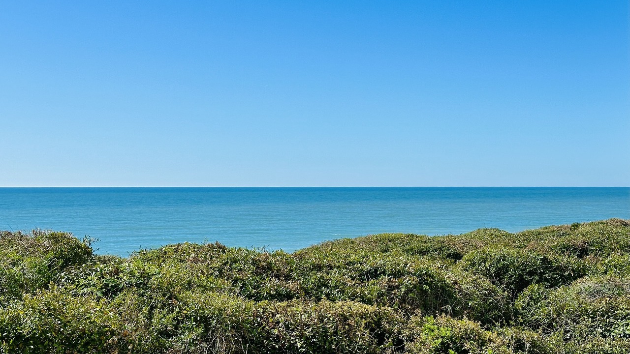 Photo of Others in Indian Beach