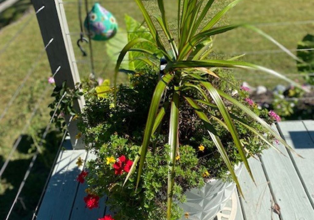 Photo of Outdoor in James City