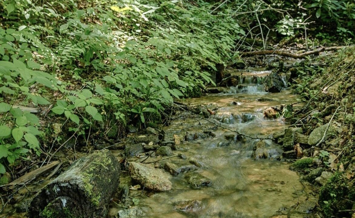 Photo of Outdoor in Maggie Valley