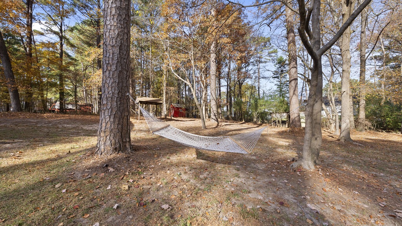 Photo of Outdoor in Apex