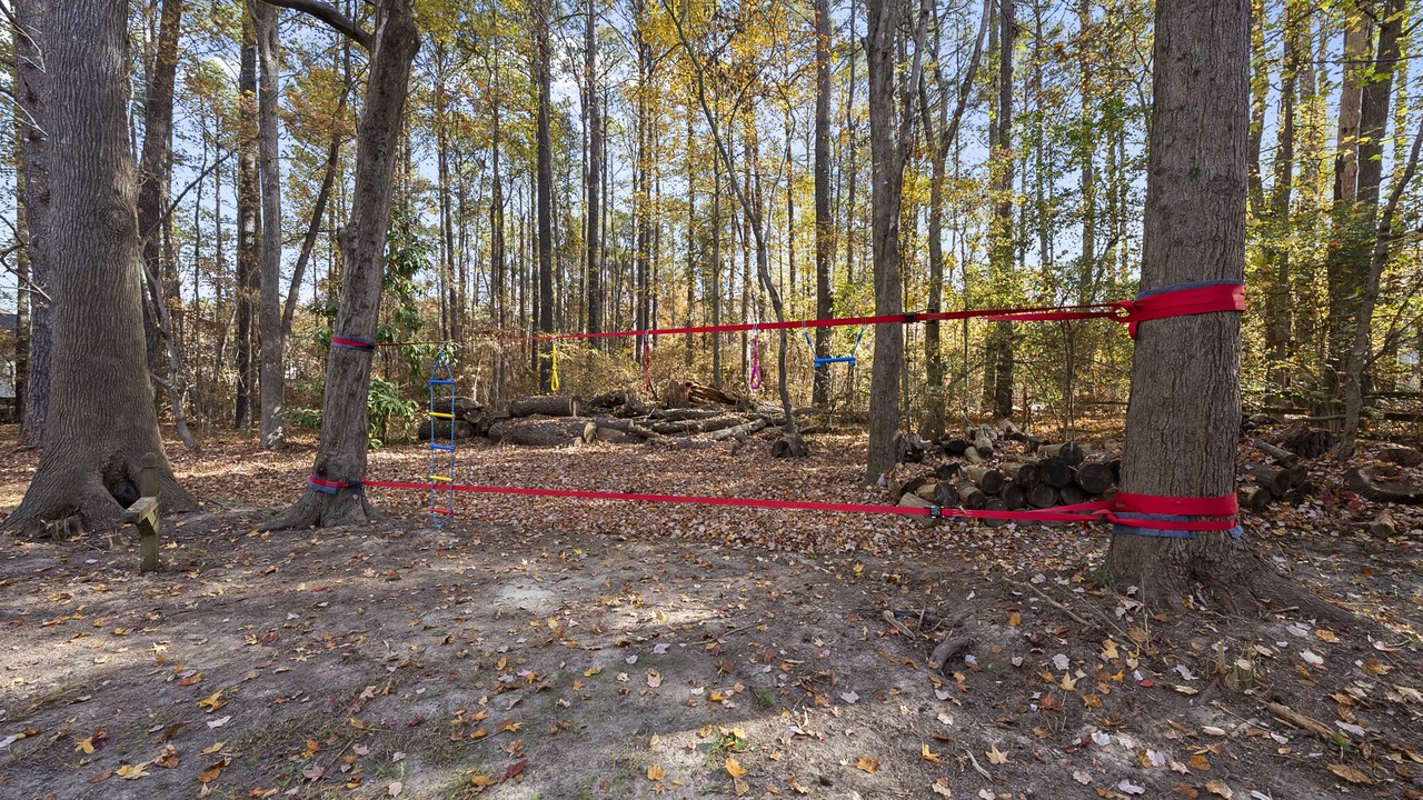 Photo of Outdoor in Apex