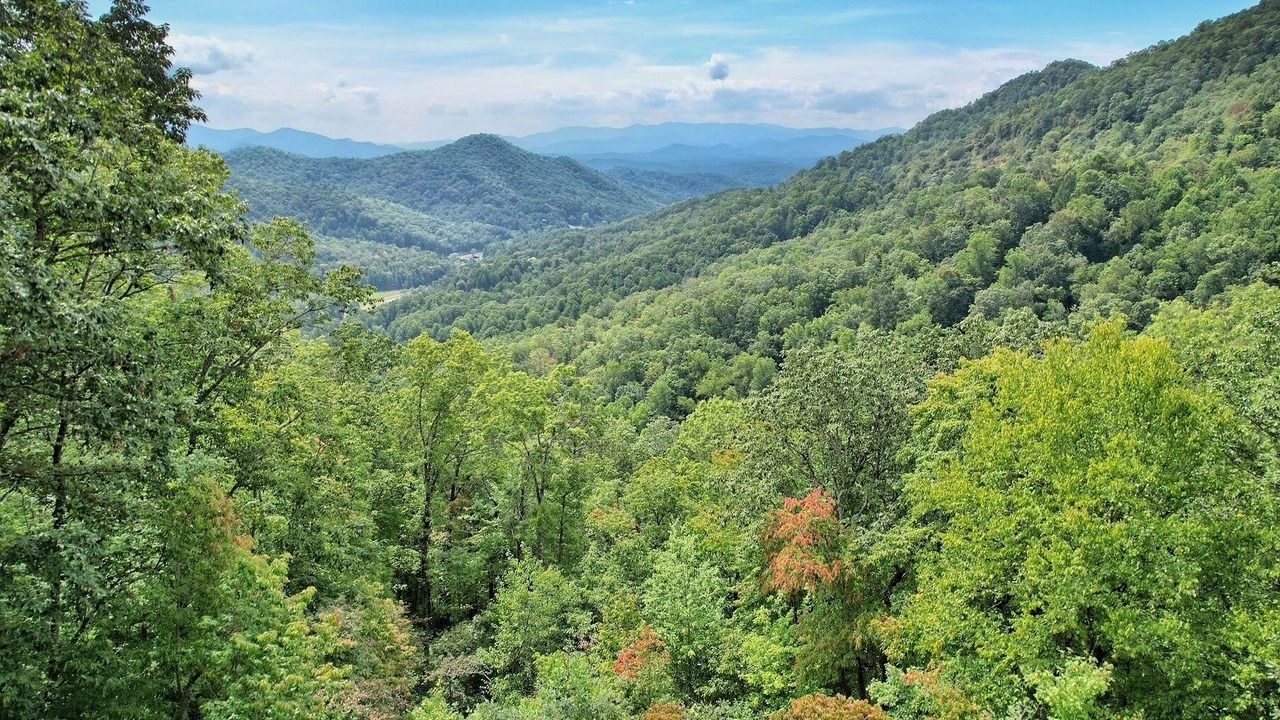 Photo of Outdoor in Franklin