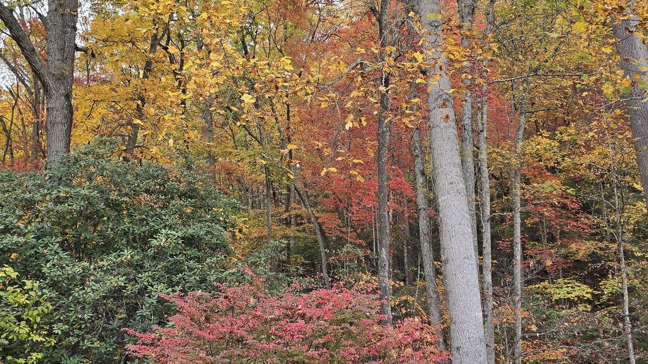 Photo of Others in Franklin