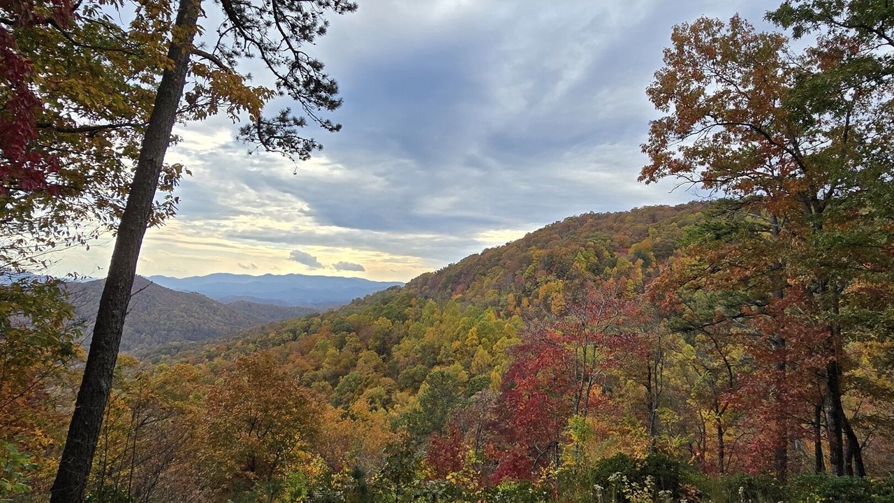 Photo of Others in Franklin