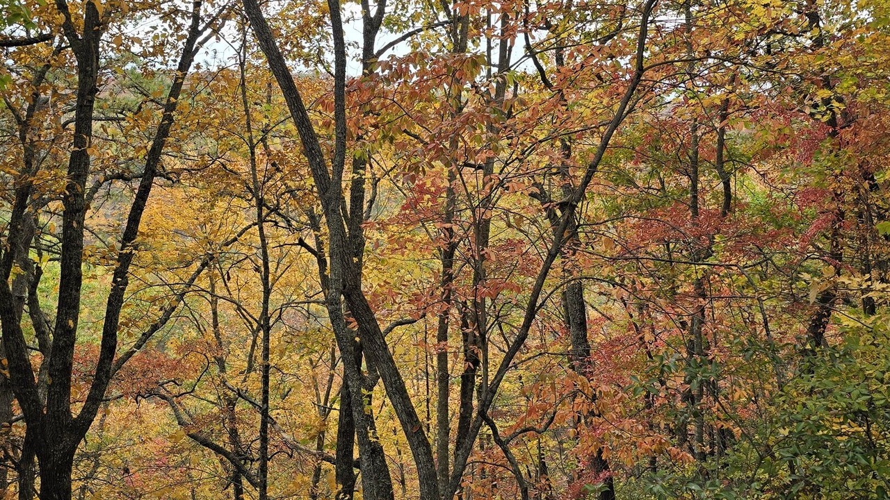 Photo of Others in Franklin