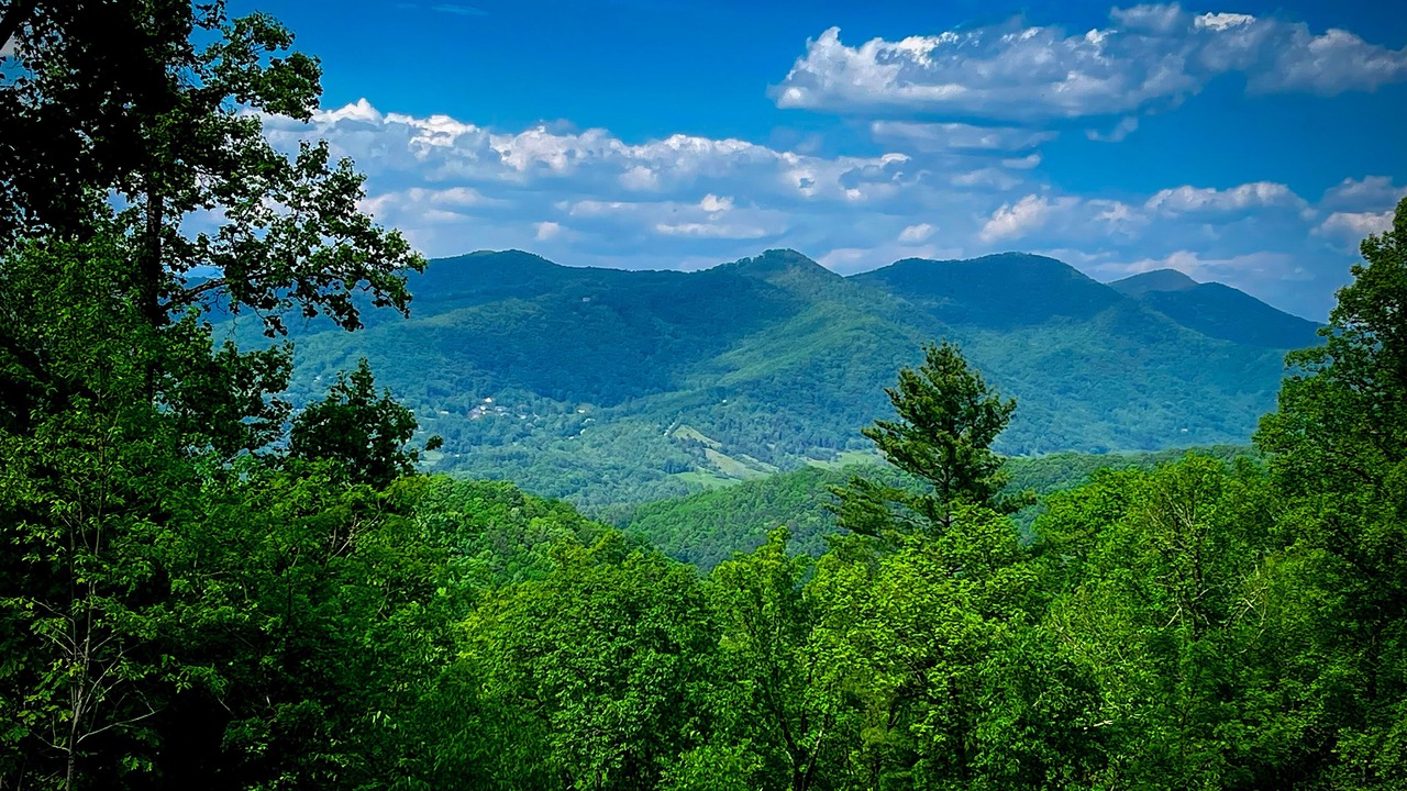 Photo of Others in Asheville